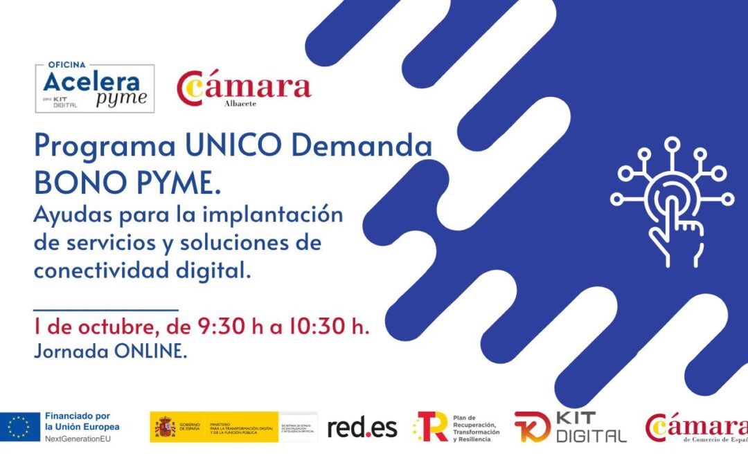 01/10/2024 – Programa UNICO Demanda BONO PYME